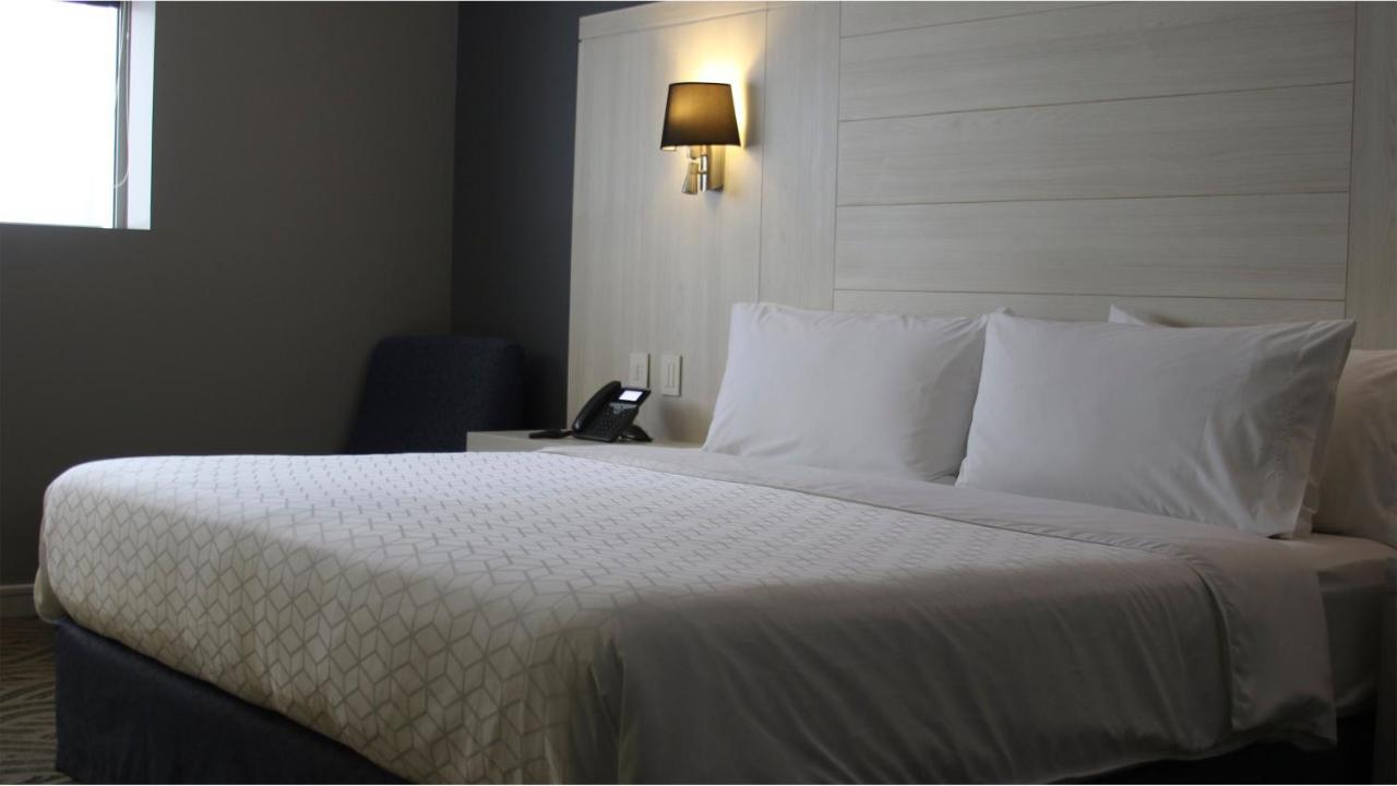 Holiday Inn Express Pachuca By Ihg Eksteriør billede